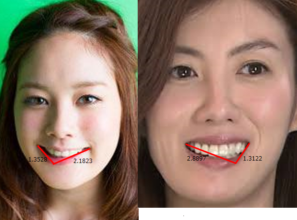 筧美和子は黄金比で笑い ともさかりえは青銅比で笑う 解読のある合衆国