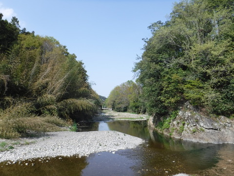 DSCF8555