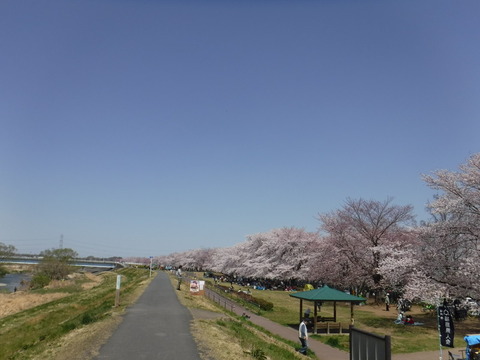 DSCF8002