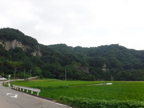 DSCF1174