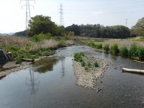 DSCF8526