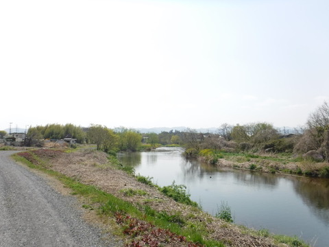 DSCF8493
