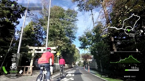 mp4_005193261