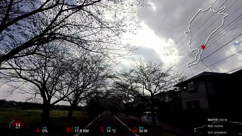 190331_Sakura.mp4_003679542