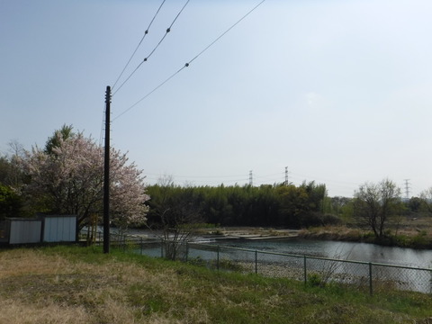 DSCF8498