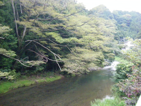 DSCF2481