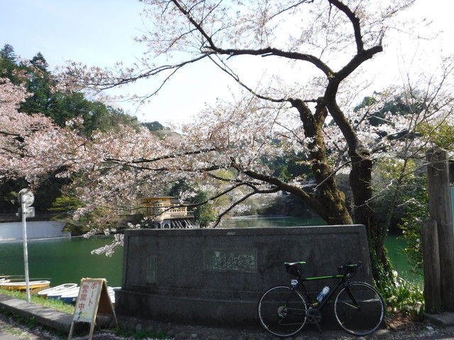 鎌北湖へ行く 埼玉県入間郡毛呂山町 17 04 16 Jaonの自転車と一緒