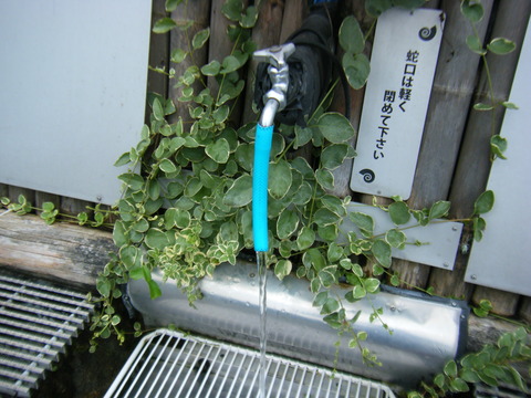 DSCF2444