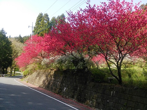 runtastic2015-04-18_14_11_59