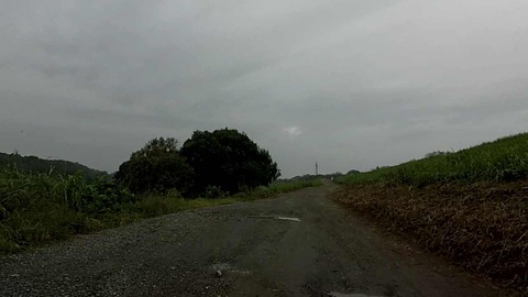 MP4_000246184