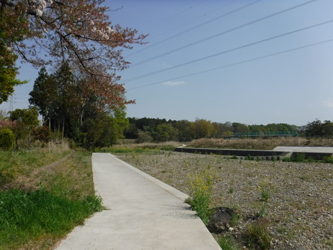 DSCF8521