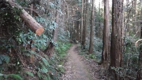 DSCF4094