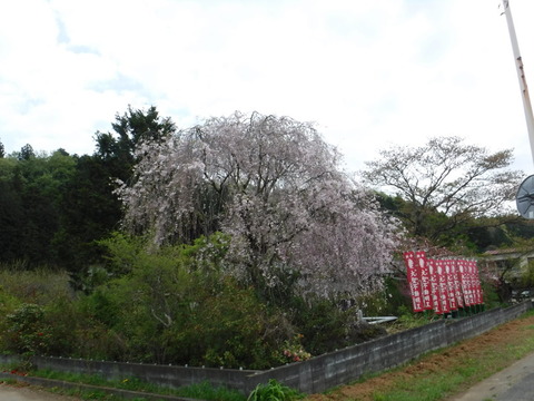 DSCF0115