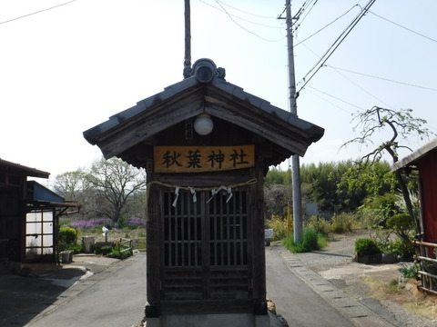DSCF8499