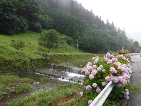 DSCF0979