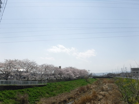 DSCF8044
