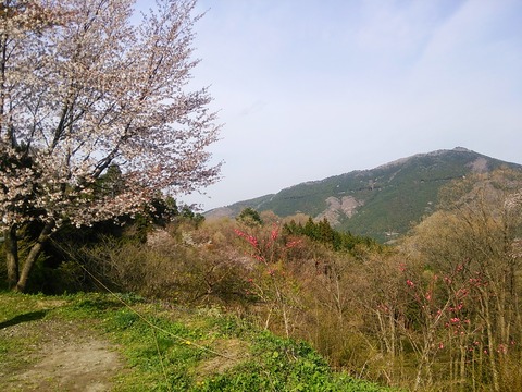 20150418_145838-0