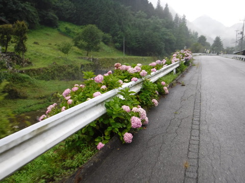 DSCF0977