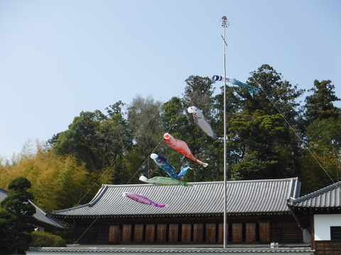 DSCF8559