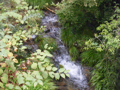 DSCF2463