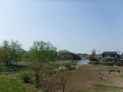 DSCF8501