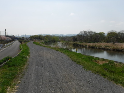 DSCF8490