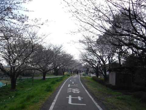 DSCF7960