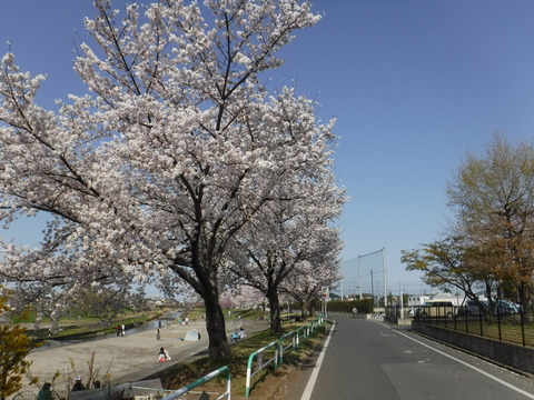 DSCF8165