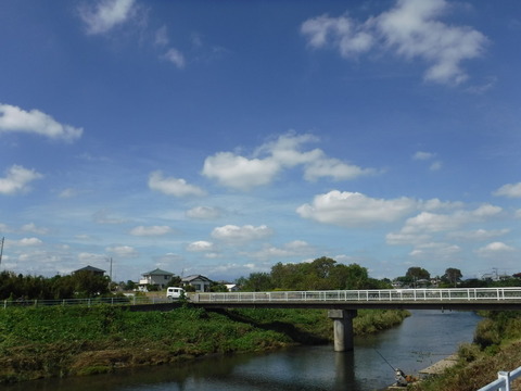 DSCF6595