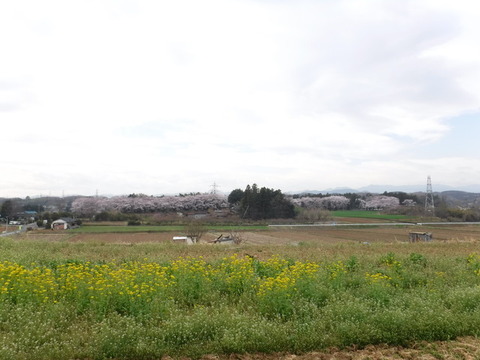 DSCF0045