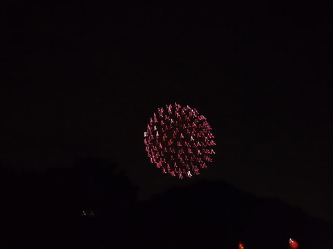 DSCF1195