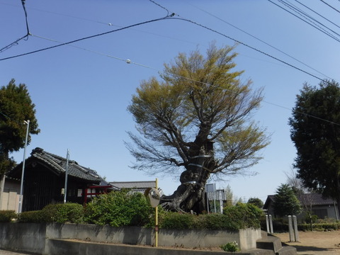 DSCF8047