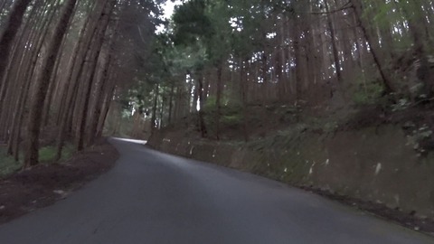 MP4_002078686