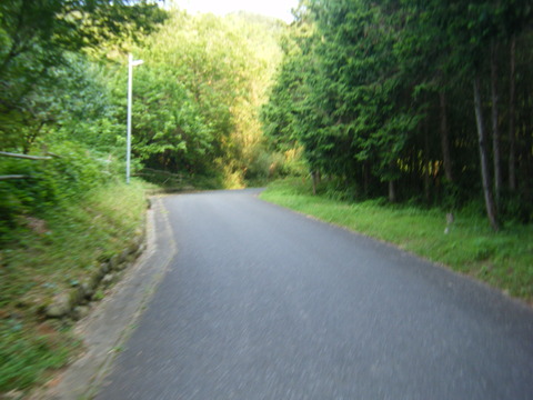DSCF2397