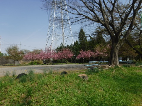 DSCF8513