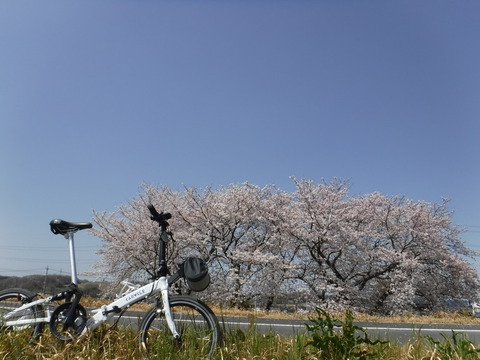 DSCF8012