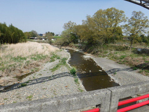 DSCF8541