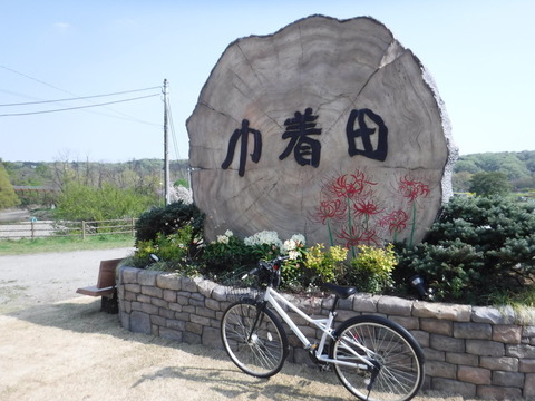 DSCF8558