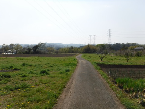 DSCF8519