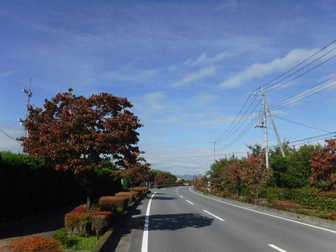 DSCF6563