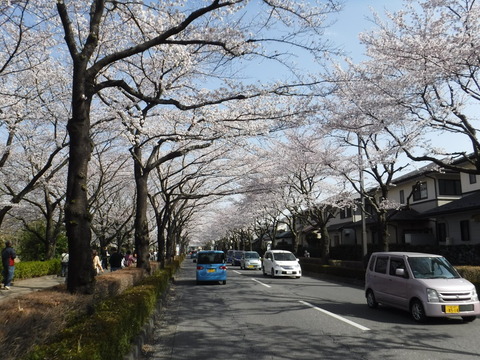 DSCF8157