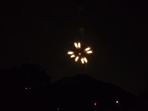 DSCF1196