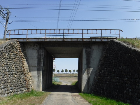 DSCF8033