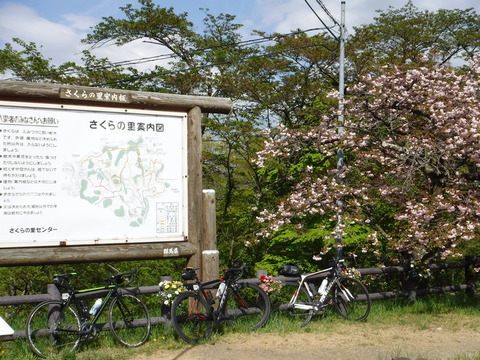 myogi-084