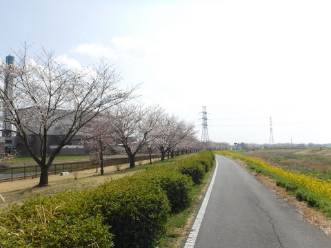DSCF7942