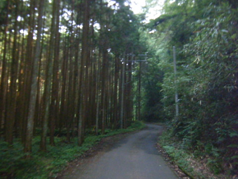DSCF2398