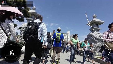 mp4_018771722