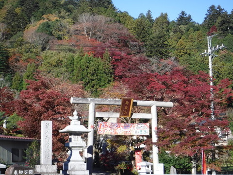 DSCF1998