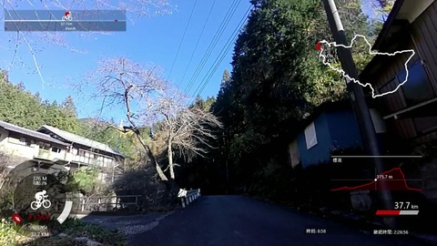 mp4_008812371