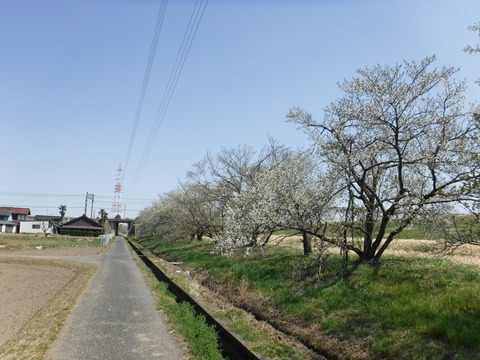 DSCF8032